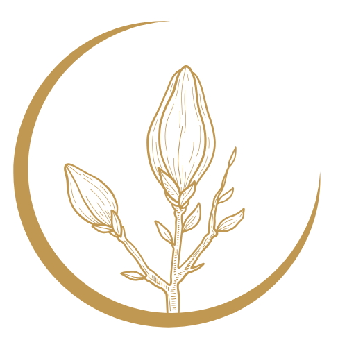 Relationdivinecoaching
